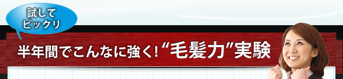 試してビックリ　半年間でこんなに強く!毛髪力実験