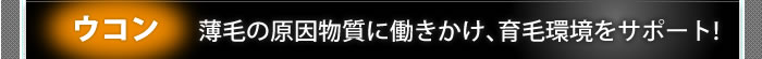 ウコン 薄毛の原因物質な働きかけ、育毛環境をサポート!