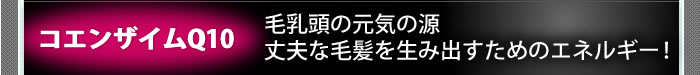 コエンザイムQ10 毛乳頭の元気の源、丈夫な毛髪を生み出すためのエネルギー!
