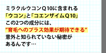 ミラクルウコンQ10に含まれる「ウコン」と「コエンザイムQ10」この2つの成分には、育毛へのプラス効果が期待できる意外と知られていない秘密があるんです…