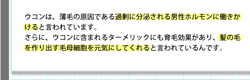 ウコンは、薄毛の原因である過剰に分泌される男性ホルモンに働きかけると言われています。さらに、ウコンに含まれるターメリックにも育毛効果があり、髪の毛を作り出す毛母細胞を元気にしてくれると言われているんです。