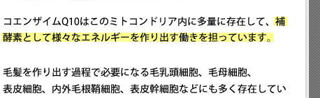 コエンザイムQ10はこのミトコンドリア内に存在して、補酵素として様々なエネルギーを作り出す働きを担っています。毛髪を作り出す過程で必要になる毛乳頭細胞、毛母細胞、表皮細胞、内外毛根鞘細胞、表皮幹細胞などにも多く存在しています。